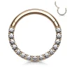 Lävistysrengas, High Quality Front Facing Hinged Rings with CZ/RGD
