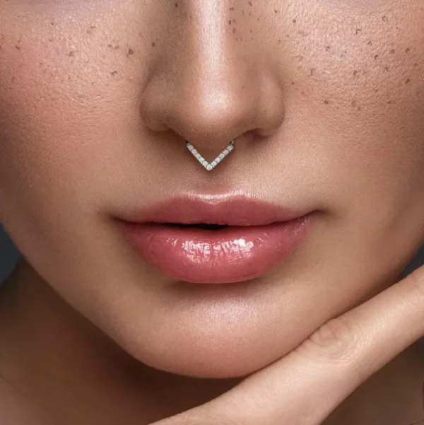 Lävistysrengas, Titanium Single Line CZ Hoop