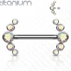 Nännikoru, Titanium Barbells with 5 Bezel Set CZ in Clear AB