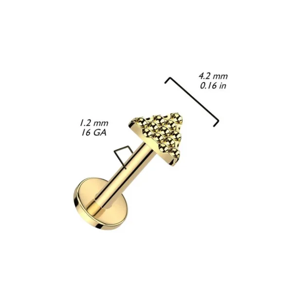 Rustokoru/traguskoru, Diamond Cut Triangle in Gold -titaaninen labret
